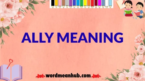 ally meaning