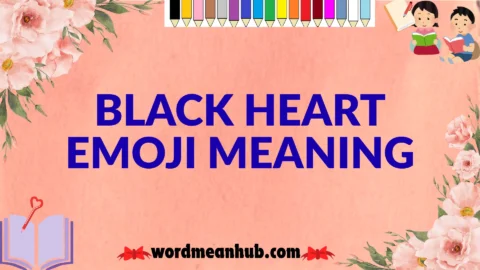 black heart emoji meaning