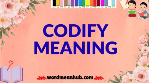 codify meaning