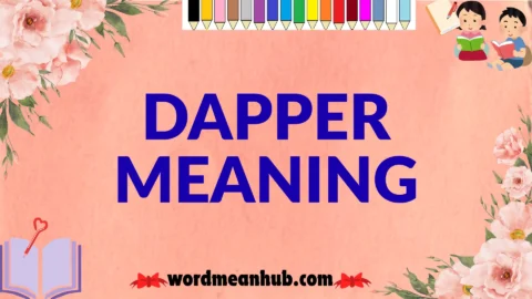 dapper meaning