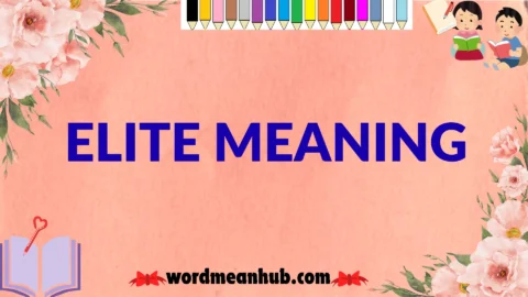 elite meaning