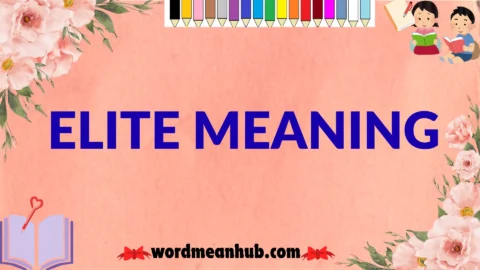 elite meaning