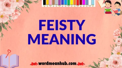 feisty meaning