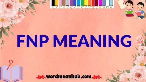 fnp meaning