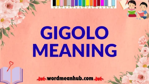 gigolo meaning