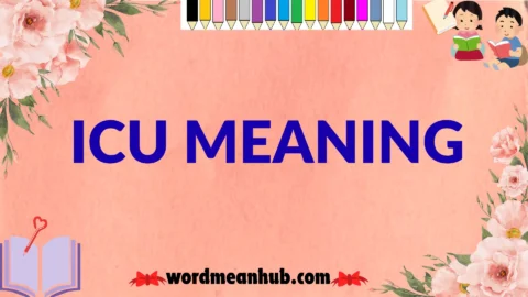 icu meaning