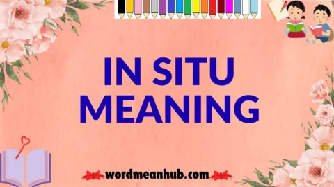 in situ meaning