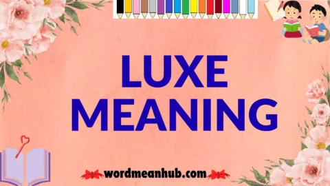 luxe meaning