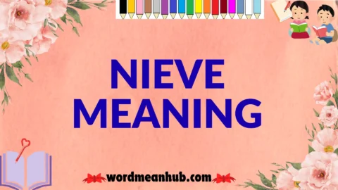 nieve meaning