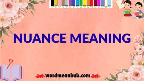 nuance meaning