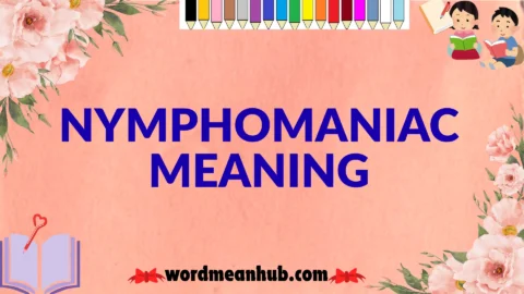 nymphomaniac meaning