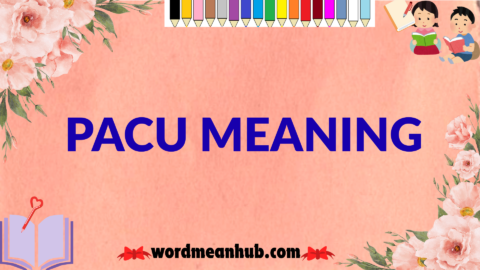 pacu meaning