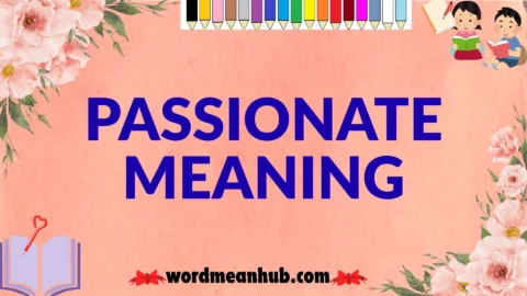 passionate meaning