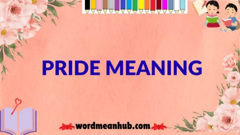 pride meaning