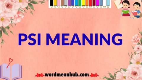 psi meaning