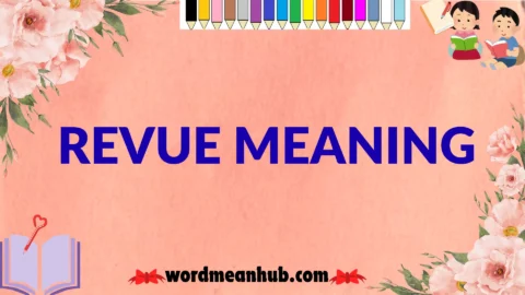 revue meaning