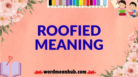 roofied meaning