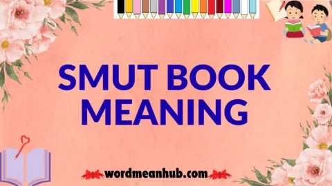 smut book meaning