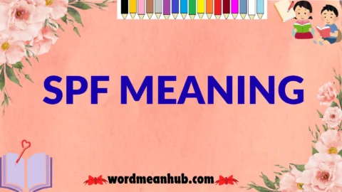 spf meaning