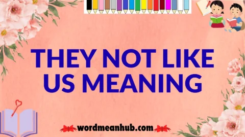 they not like us meaning