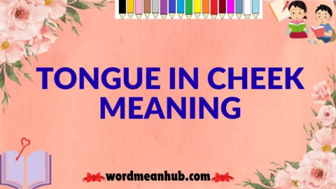 tongue in cheek meaning