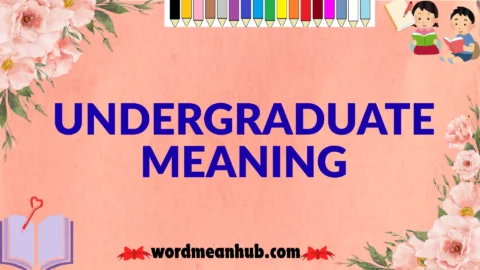 undergraduate meaning