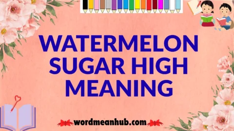 watermelon sugar high meaning