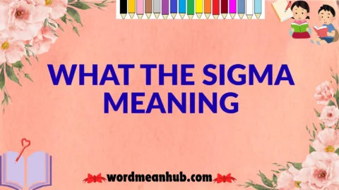 what the sigma meaning