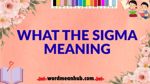 what the sigma meaning