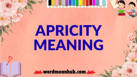 apricity meaning
