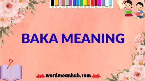 baka meaning