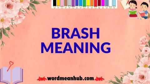 brash meaning