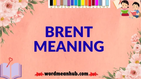 brent meaning