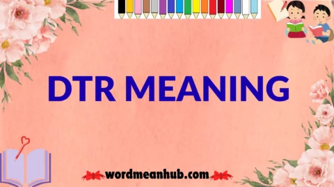 dtr meaning