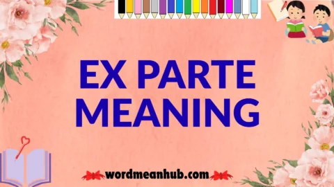 ex parte meaning