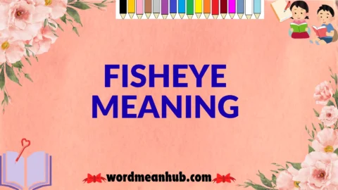 fisheye meaning