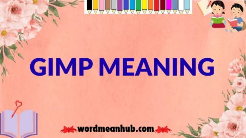 gimp meaning