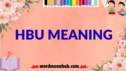 hbu meaning