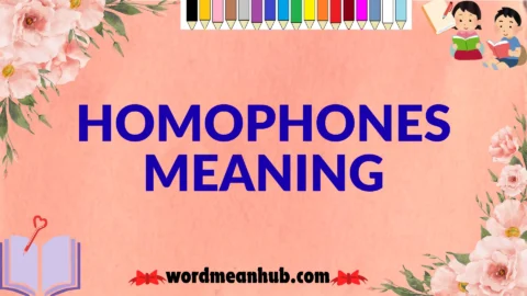 homophones meaning