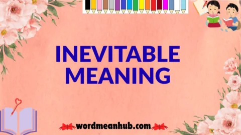 inevitable meaning