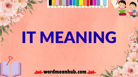 it meaning