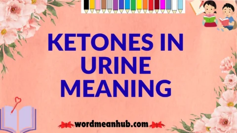 ketones in urine meaning