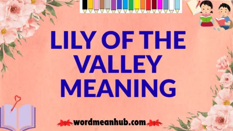 lily of the valley meaning