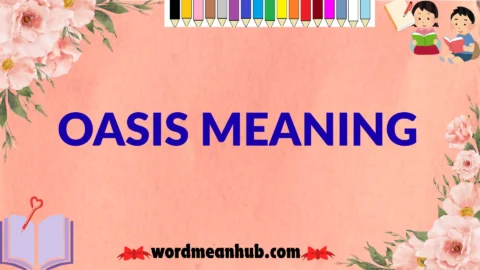 oasis meaning