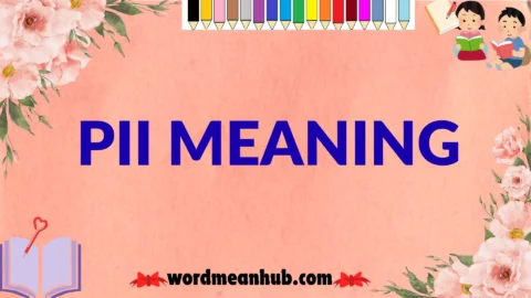 pii meaning