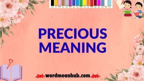 precious meaning