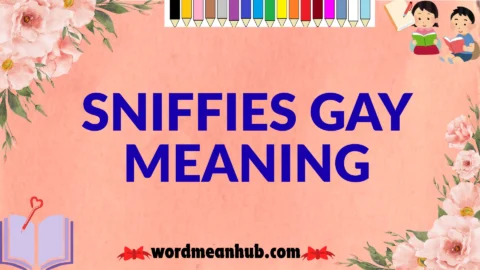 sniffies gay meaning