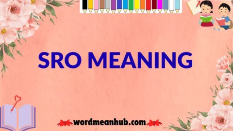 sro meaning