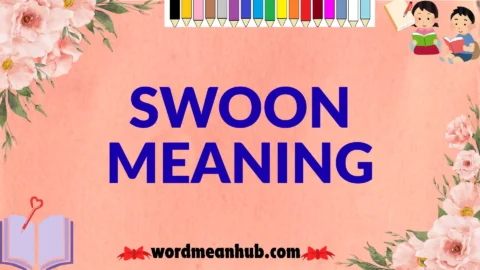 swoon meaning