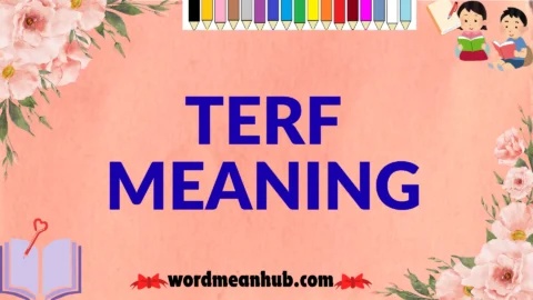 terf meaning
